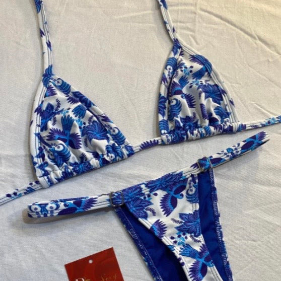 Arara Azul Regulagem
